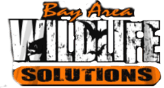 bay area wildlife logo